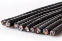 RVVP聚氯乙烯緣屏蔽電線型號規(guī)格參數(shù)